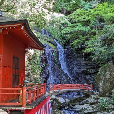 七宝瀧寺 脚のお滝修行+写経体験+参道パワースポット解説書・参道ガイド付き(2名様)099H2080