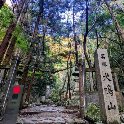 七宝瀧寺 脚のお滝修行+写経体験+参道パワースポット解説書・参道ガイド付き(2名様)099H2080