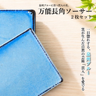 泉州ブルーに育つ貫入の美。万能長角ソーサー(2枚セット) 099H4536