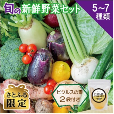 【さとふる限定】旬の新鮮野菜セット 5～7種 ピクルスの素2袋付き 005A070