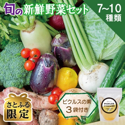 【さとふる限定】旬の新鮮野菜セット 7～10種 ピクルスの素3袋付き ファミリー向け 010B158