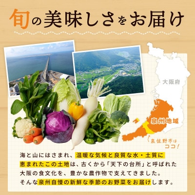 季節の泉州野菜 12種 おまかせセット ピクルスの素 2袋付き 010B1549