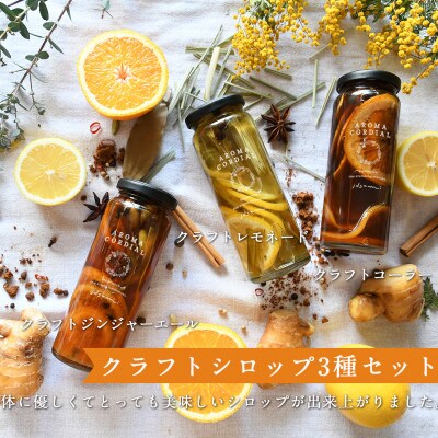 クラフト飲料シロップ3本セット いずみピクルス NSW 099H3665