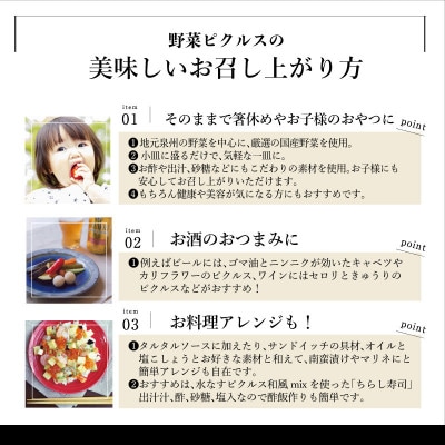 ピクルス・コンポート・ドレッシング3本セット ギフト箱入 いずみピクルス 099H3778