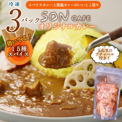 15種スパイスを使用したSONカフェ特製カレー200g×3P玉ねぎのアチャール×1P099H3782