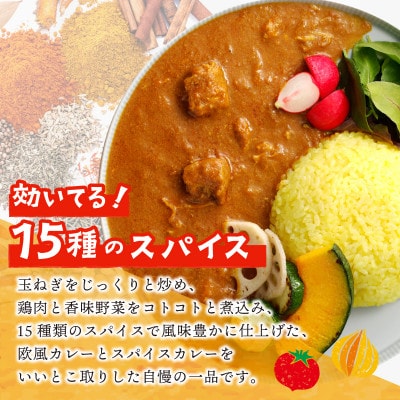 15種スパイスを使用したSONカフェ特製カレー200g×3P玉ねぎのアチャール×1P099H3782