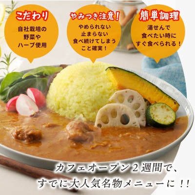 15種スパイスを使用したSONカフェ特製カレー200g×3P玉ねぎのアチャール×1P099H3782