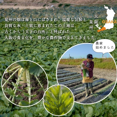 【毎月定期便】旬の新鮮野菜セット 7種以上 ピクルスの素付き 全4回 099Z281