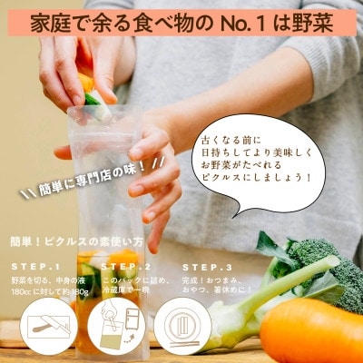 【毎月定期便】旬の新鮮野菜セット 7種以上 ピクルスの素付き 全4回 099Z281