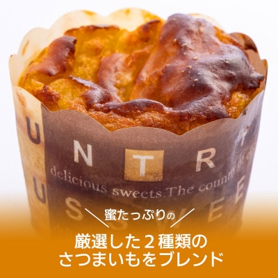 芋匠さのや特製の濃厚スイートポテト+さのやチップス(プレーン味)セット 099H1058