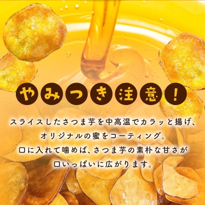 さのやチップス(プレーン味)160g×2パック 芋匠さのや 人気メニュー 005A562