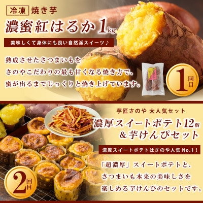 【毎月定期便】芋匠さのや 人気スイーツセット 全3回 099Z257