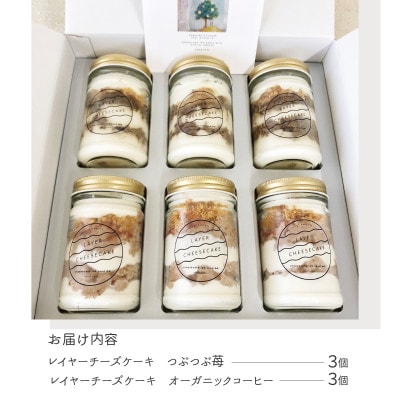 レイヤーチーズケーキ 6個セット 099H2061