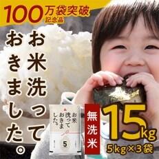 【100万袋突破記念品】無洗米 15kg(5kg×3袋) お米 099H661