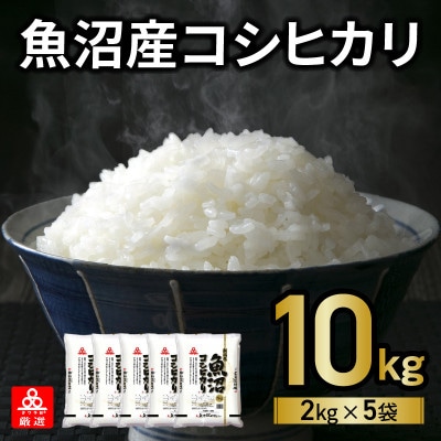 魚沼産コシヒカリ 10kg(2kg×5袋)タワラ印 小分け 015B206