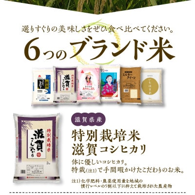 【食べ比べ～ゴールドコース～】合計12kg(2kg×6種類) タワラ印 米 福袋 099H1778