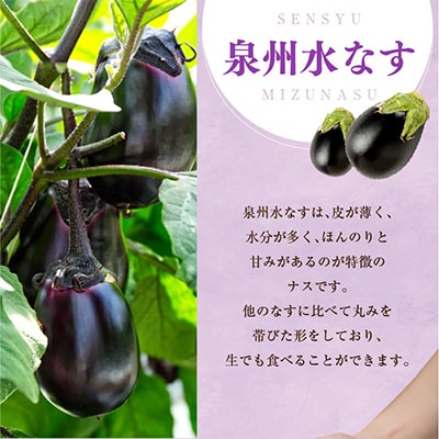 特選無添加 水なす浅漬けと訳あり水ナス 合計8個セット G1099
