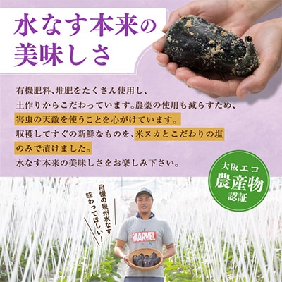 特選無添加 水なす浅漬けと訳あり水ナス 合計8個セット G1099