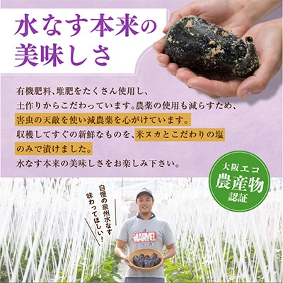 特選無添加 水なす浅漬けと訳あり水ナス 合計8個セット