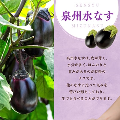 泉州TONOファーム特選無添加水なす漬け8個 G1106