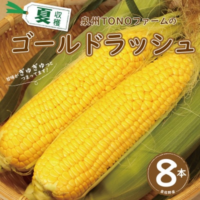 【畑から直送】ゴールドラッシュ 8本セット とうもろこし G1101