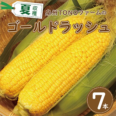 【畑から直送】ゴールドラッシュ 7本セット とうもろこし 005A060