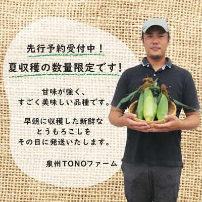 【畑から直送】ゴールドラッシュ 8本セット とうもろこし G1101