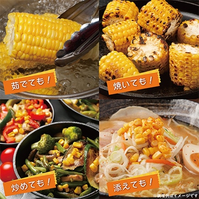【畑から直送】ゴールドラッシュ 7本セット とうもろこし 005A060