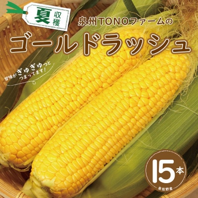 【畑から直送】とうもろこし(ゴールドラッシュ)15本 G1107