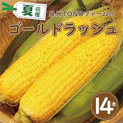 【畑から直送】とうもろこし(ゴールドラッシュ)14本 010B140