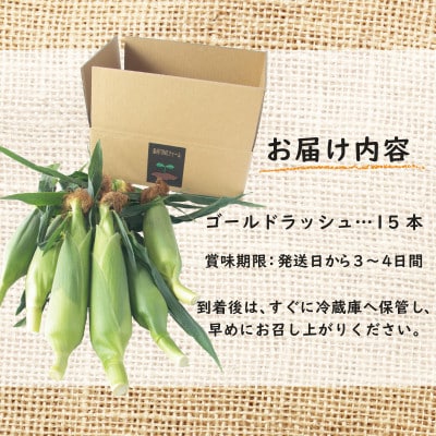 【畑から直送】とうもろこし(ゴールドラッシュ)15本 G1107