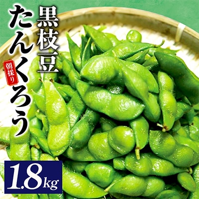 【畑から直送】朝採り黒枝豆 1.8kg