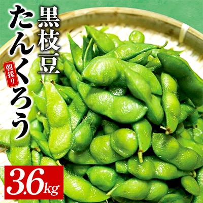 【畑から直送】朝採り黒枝豆 3.6kg