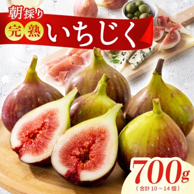 【農家直送】完熟いちじく 700g以上(2パック)【朝採り 産地直送】