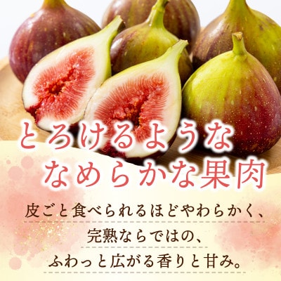 【農家直送】完熟いちじく 700g以上(2パック)【朝採り 産地直送】