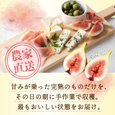 【農家直送】完熟いちじく 700g以上(2パック)【朝採り 産地直送】