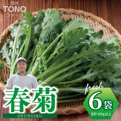 【先行予約】TONOファーム 春菊 6袋(合計900g以上)