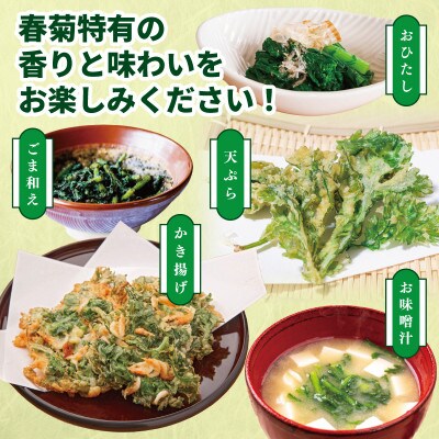 【先行予約】TONOファーム 春菊 6袋(合計900g以上)