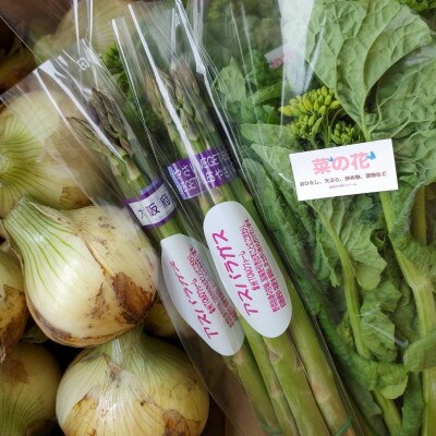 【先行予約】春の野菜セット 泉州TONOファーム