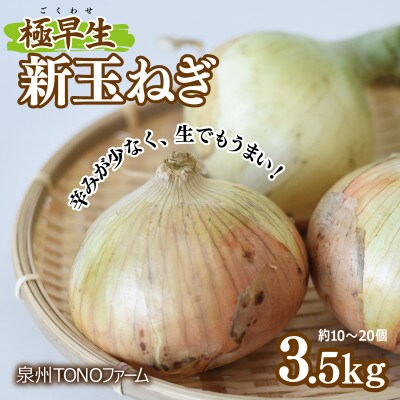 【先行予約】極早生 新たまねぎ 3.5kg 泉州TONOファーム