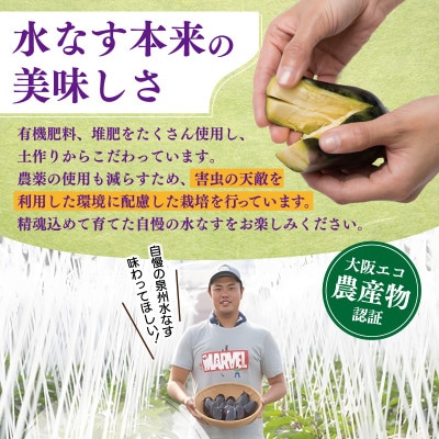朝採り直送 水なす 15個 泉佐野産