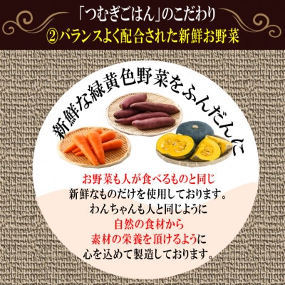 国産無添加ドッグフード「つむぎごはん」　500g　099H2022