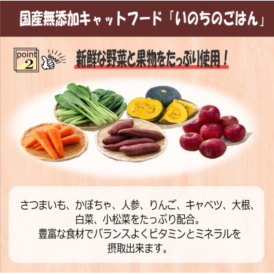 国産無添加 キャットフード 500g「いのちのごはん」タンパク質 66%以上配合 099H2346