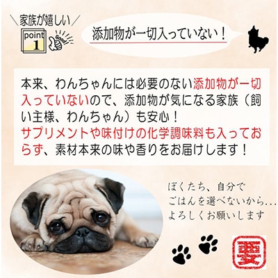 【毎月定期便】国産 無添加 ドッグフード「いのちのごはん」500g×全3回 099Z168