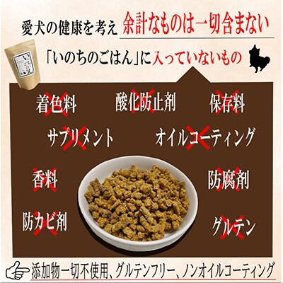 【毎月定期便】国産 無添加 ドッグフード「いのちのごはん」1kg×全3回 099Z169