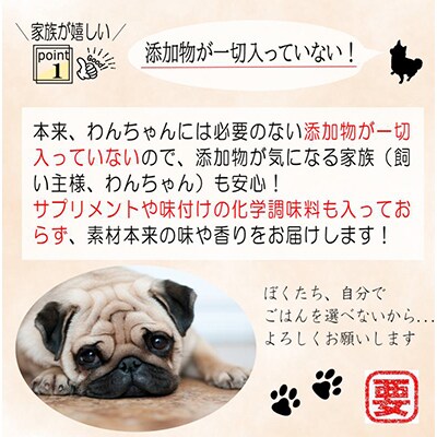 【毎月定期便】国産 無添加 ドッグフード「いのちのごはん」1kg×全3回 099Z169