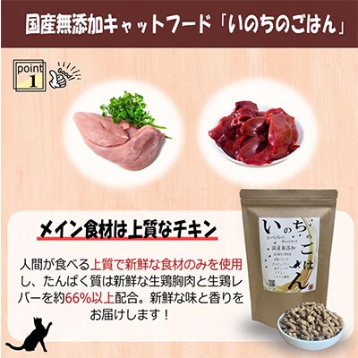 【毎月定期便】国産 無添加 キャットフード「いのちのごはん」500g×全3回 099Z170