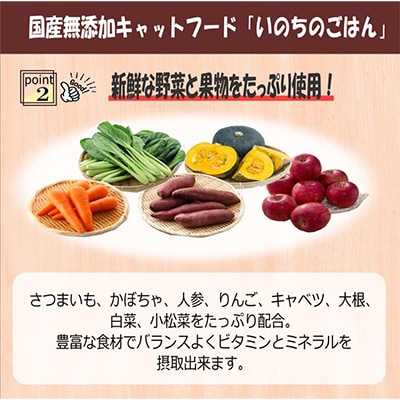 【毎月定期便】国産 無添加 キャットフード「いのちのごはん」1kg×全3回 099Z171