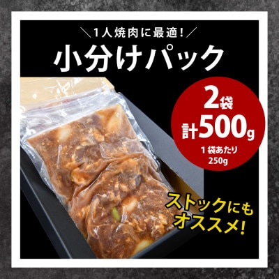 秘伝の極旨タレ 焼肉セット 野菜入り 250g×2袋 G646