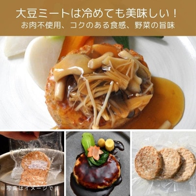 大豆ミート 和風ベジハンバーグ 80g×15個(3個入り×5パック)G658